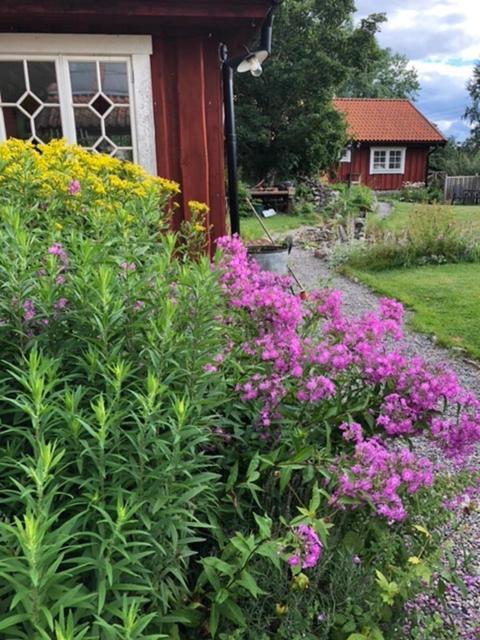 Tystberga Logi Bed & Breakfast Exterior foto